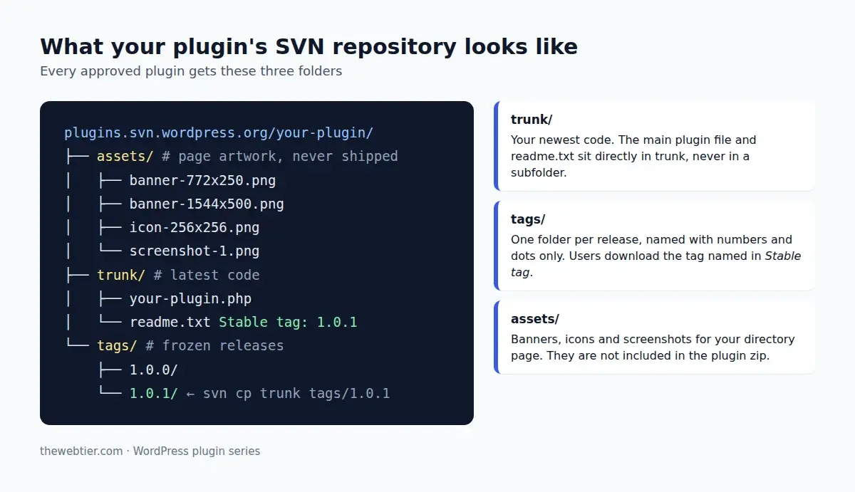 The folders in a WordPress.org plugin SVN repository: assets, trunk and tags